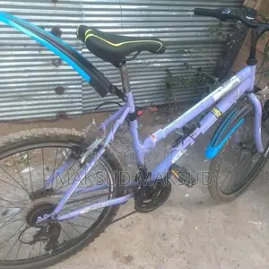 Mountain Bicycle