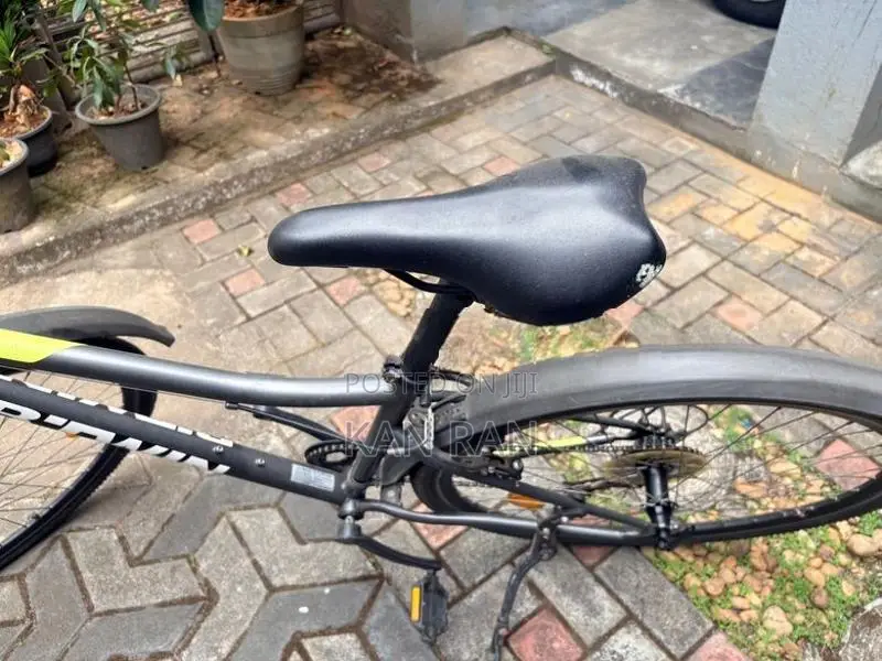 Ladies Bicycle