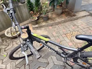Ladies Bicycle