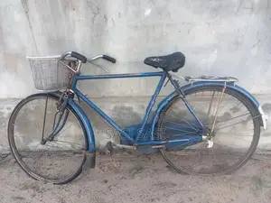 Lumala Bicycle