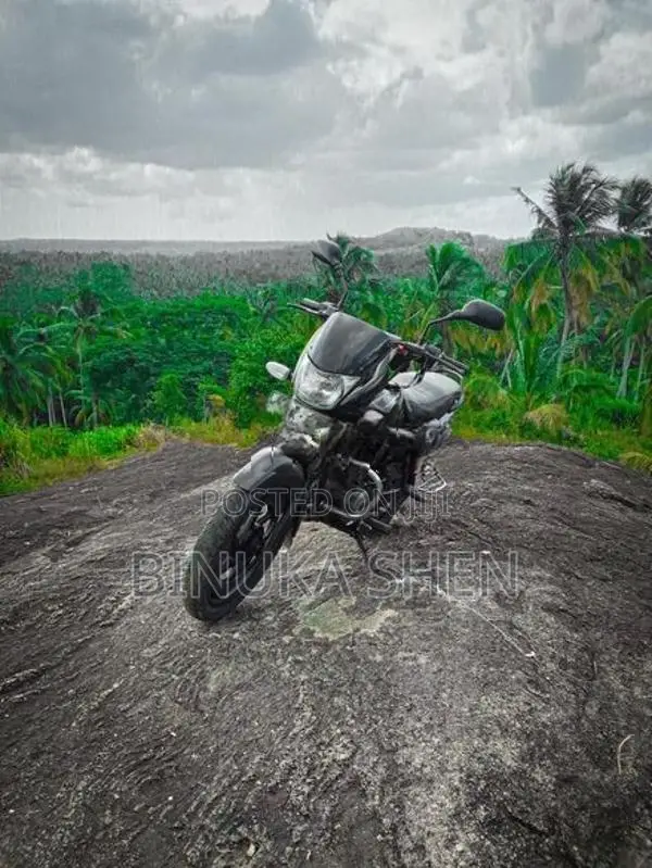Bajaj Platina 100 2006