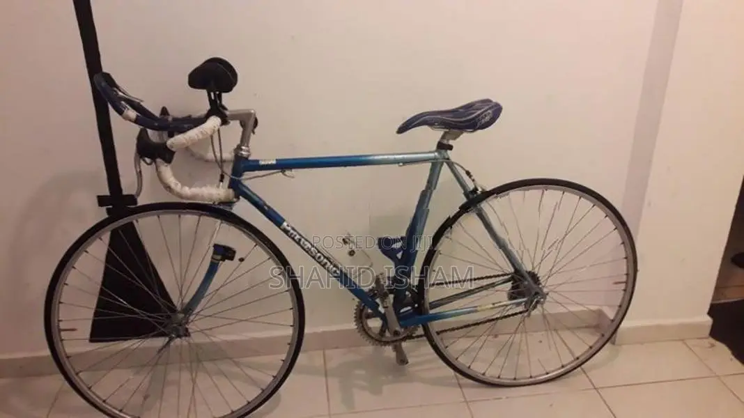 Panasonic Race Bicycle