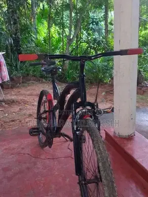 Tomahawk Bicycle