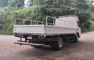 Mitsubishi Canter Fuso 2019