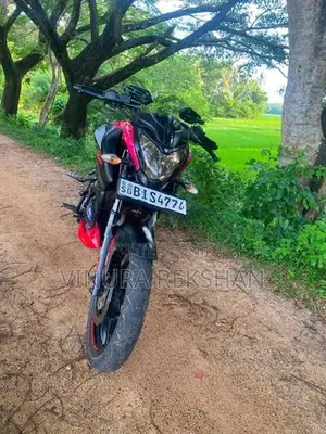Bajaj Pulsar NS160 2019