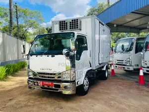 Isuzu Elf Freezer Truck -30°C 2017