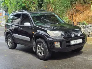 Toyota RAV4 4x4 Automatic 2003