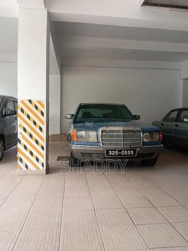 Mercedes Benz 300D 1983