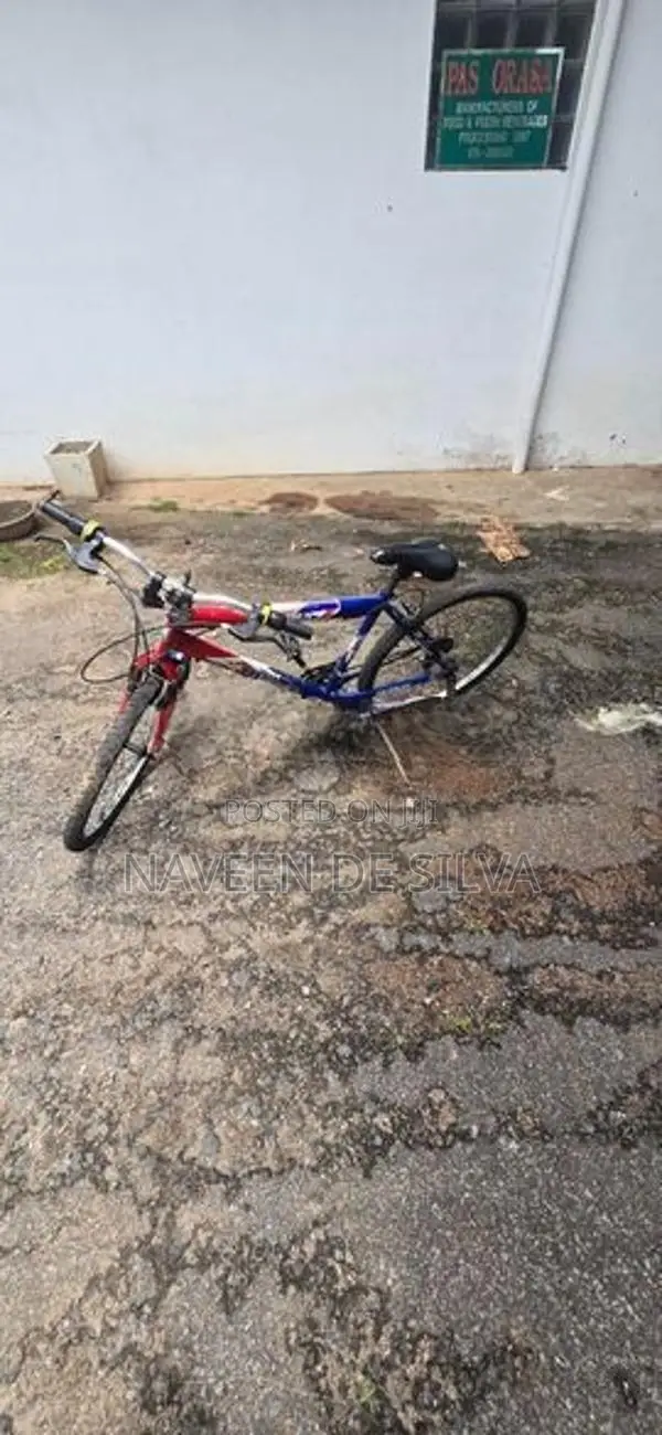 Lumala Bicycle