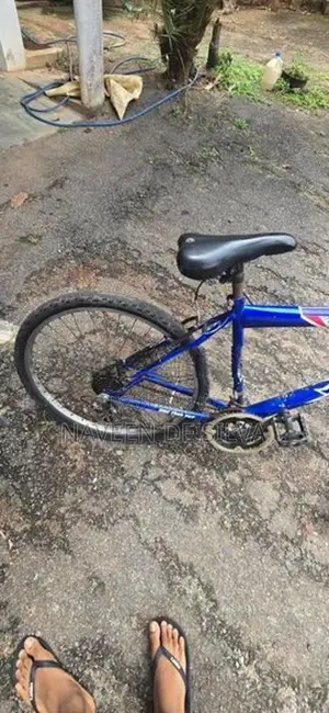 Lumala Bicycle