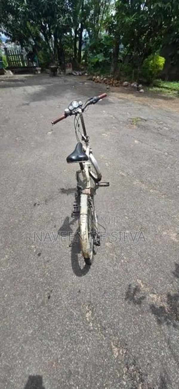 Bicycle