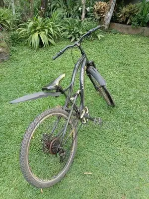 Lumstar වර්ගයේ Bicycle එකක් විකිණීමට ඇත