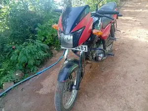 Bajaj Pulsar 150 2004