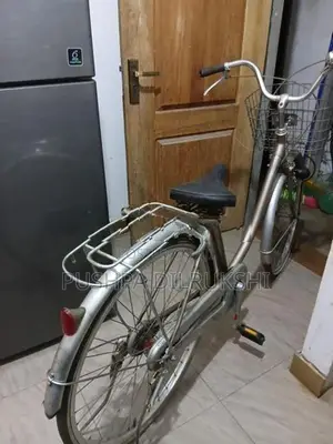 Japan Foot Bicycle