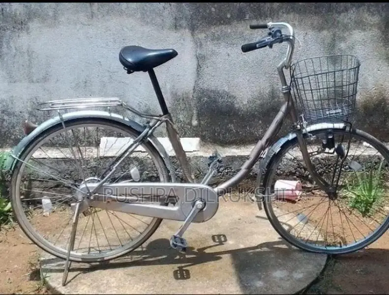 Japan Foot Bicycle
