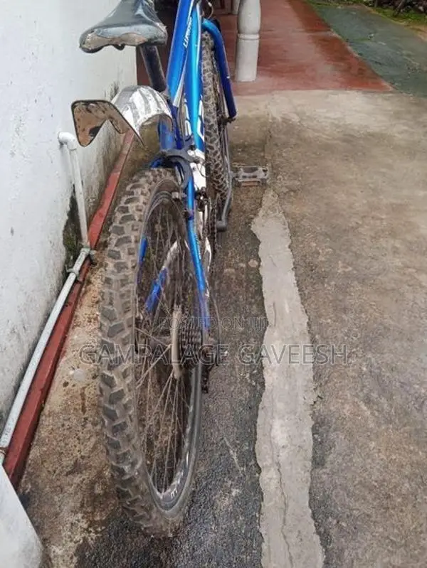 Bicycle