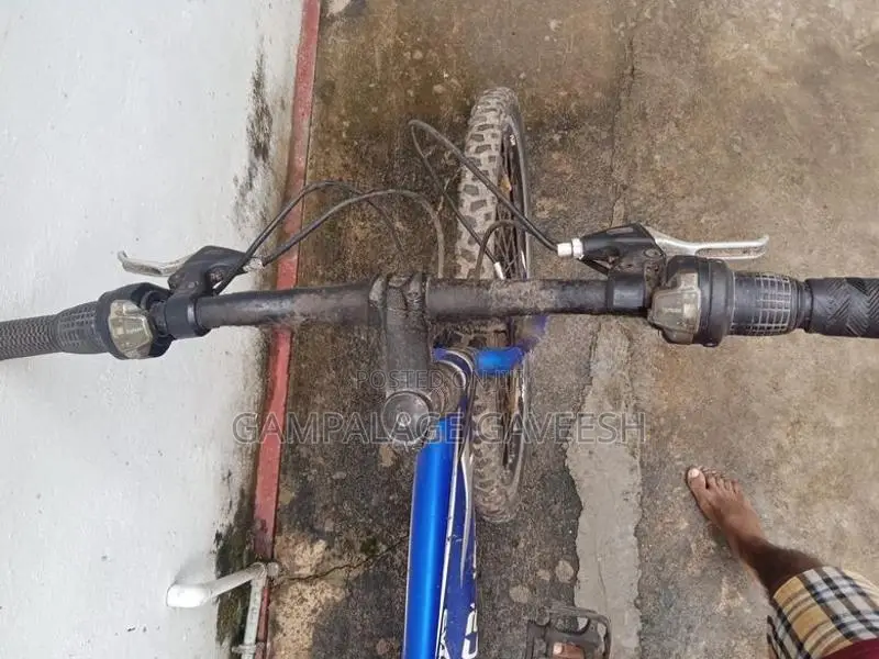 Bicycle