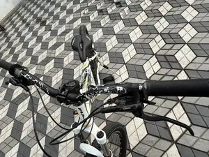 Stunt Bicycle