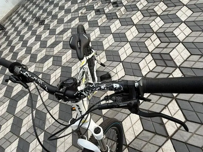 Stunt Bicycle