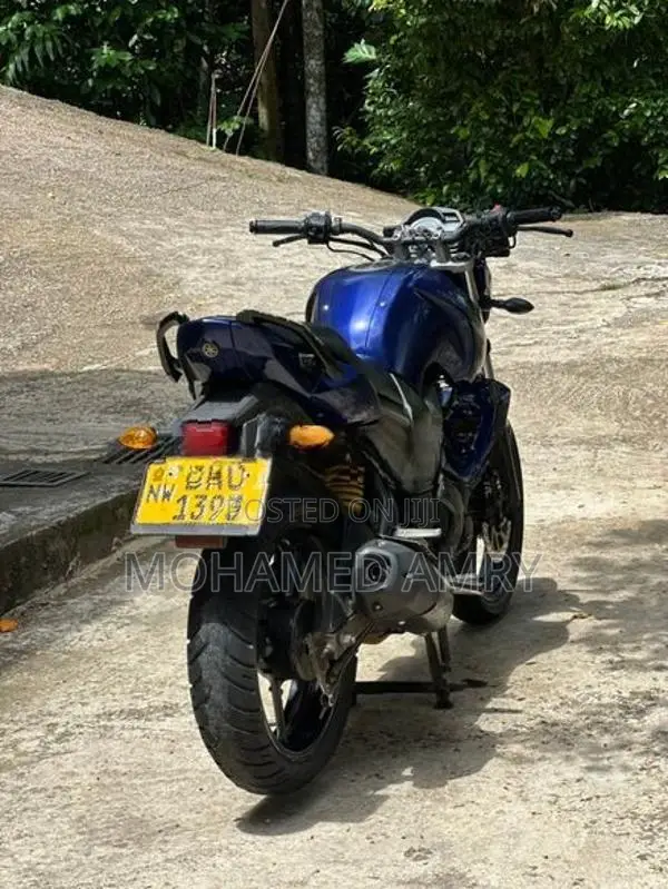 Yamaha FZ V1 2013