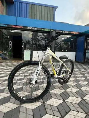 Stunt Bicycle