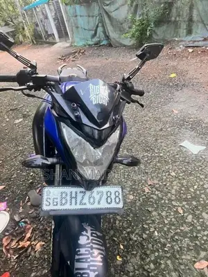 Bajaj Pulsar NS160 2019