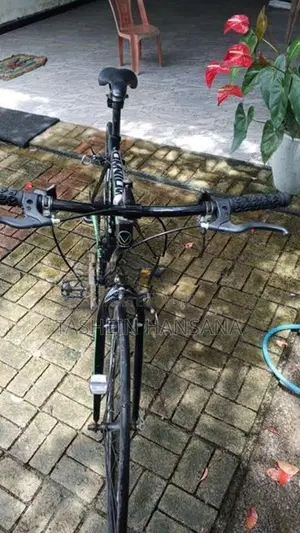Viking Bicycle