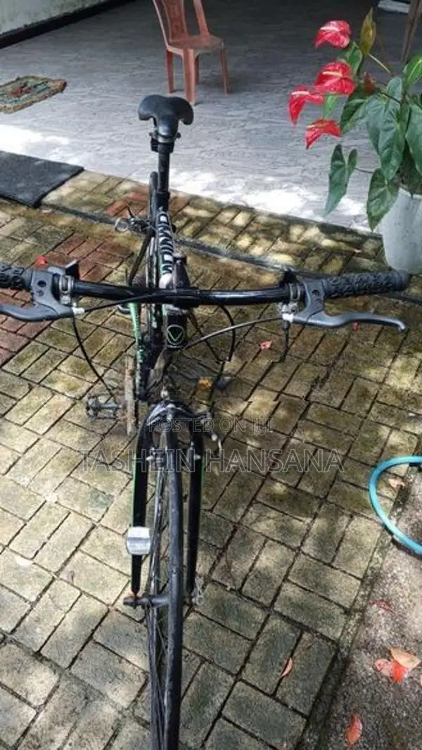 Viking Bicycle