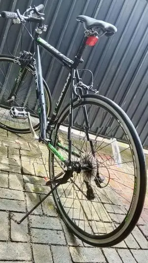 Viking Bicycle