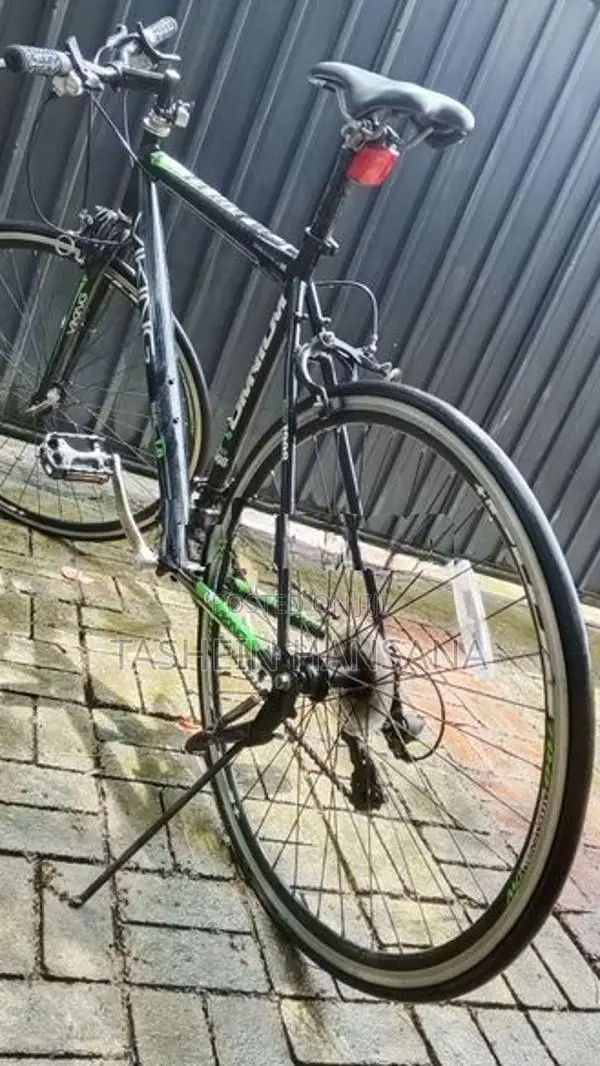 Viking Bicycle