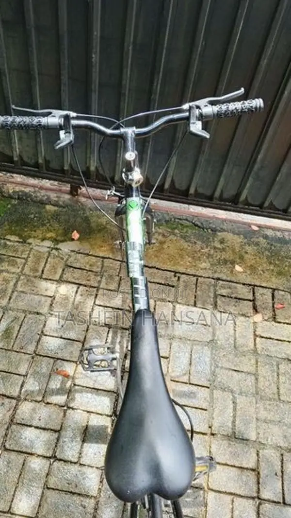 Viking Bicycle