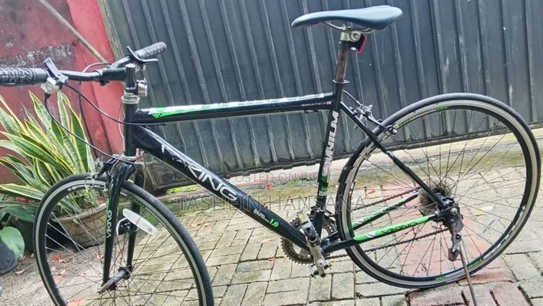 Viking Bicycle