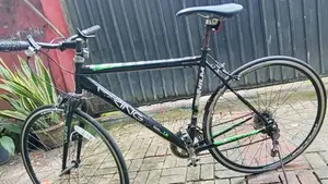 Viking Bicycle