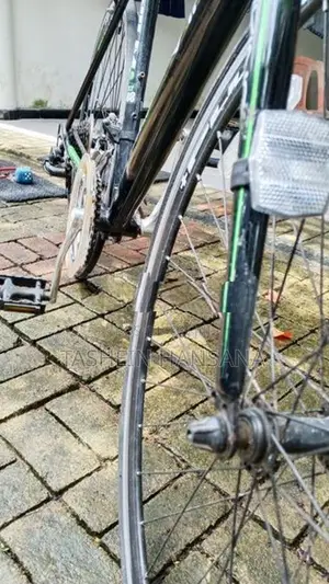 Viking Bicycle