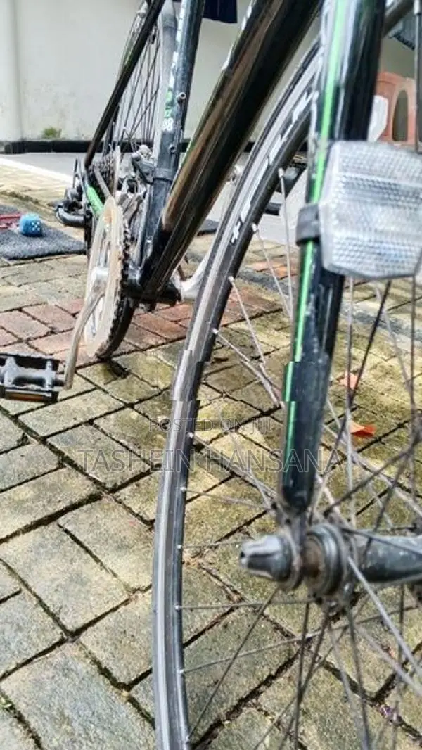 Viking Bicycle