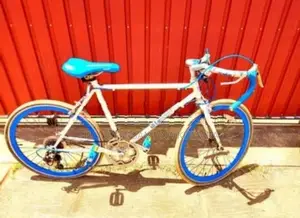 Korean Racing Bicycle