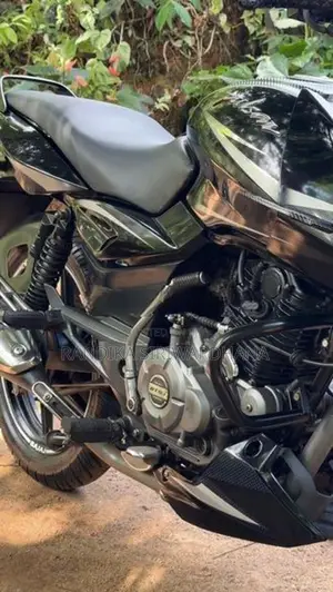 Bajaj Pulsar 150 ug4.5 Edition 2018