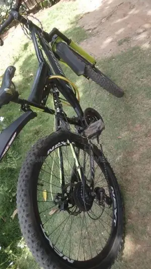 Bicycle Sale