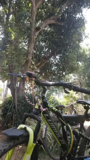 Bicycle Sale