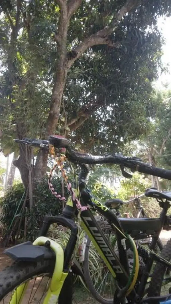 Bicycle Sale