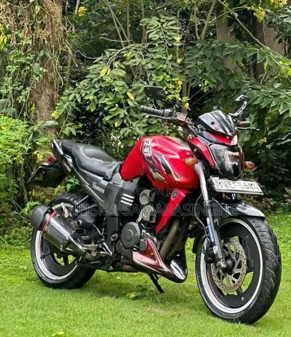 Yamaha FZ 1 2009