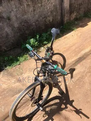 Roadeo Bicycle