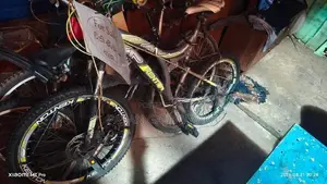 Kenton Bicycle