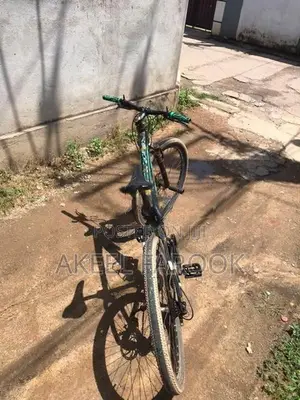 Roadeo Bicycle