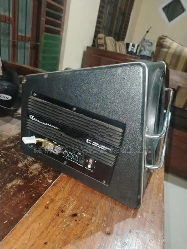 Pioneer Threewheel Bass Amplifier