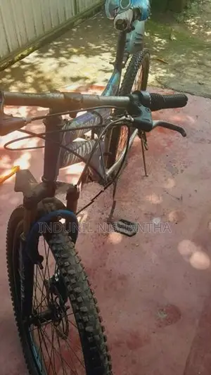 Lumala Bicycle