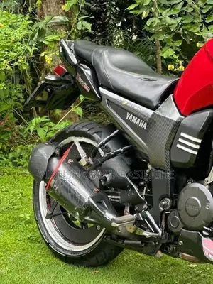 Yamaha FZ 1 2009