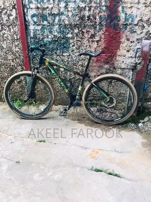 Roadeo Bicycle