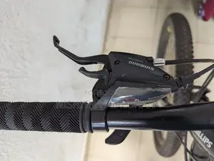 Mountain Bicycle Size 28