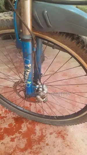 Lumala Bicycle